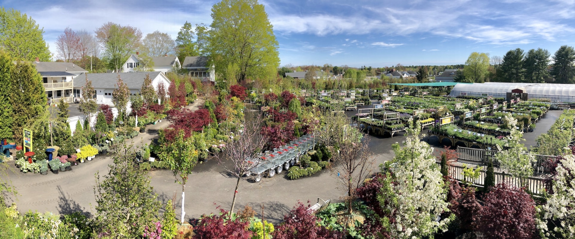 are-gardening-centres-open-today